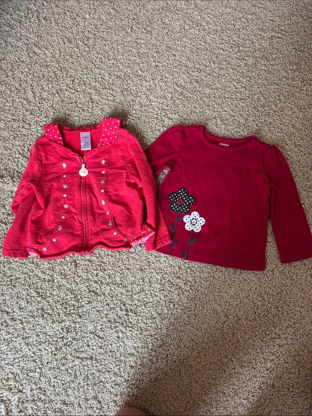 Toddler Gymboree Red Floral Hoodie and Quarter Sleeve Top Set